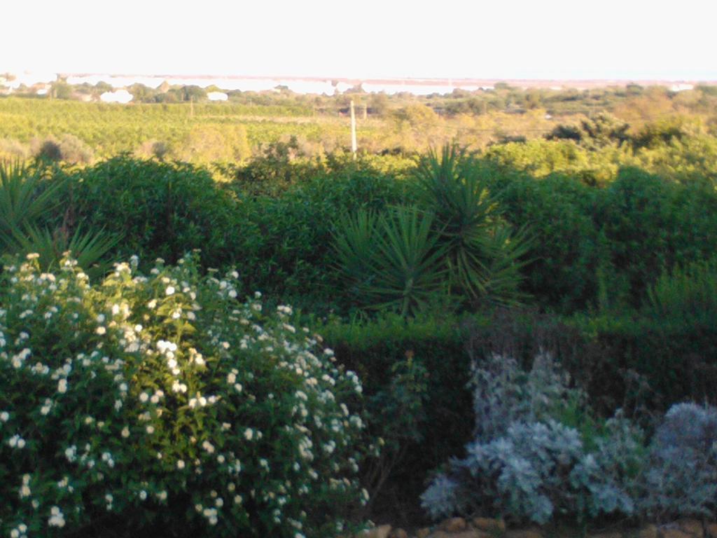 Quinta Da Moura Casa-De-Campo Tavira Exterior photo