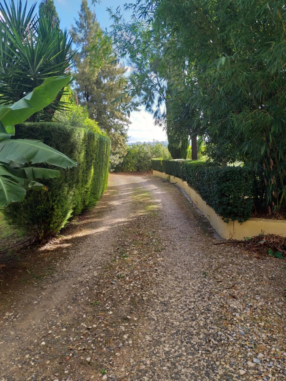 Quinta Da Moura Casa-De-Campo Tavira Exterior photo